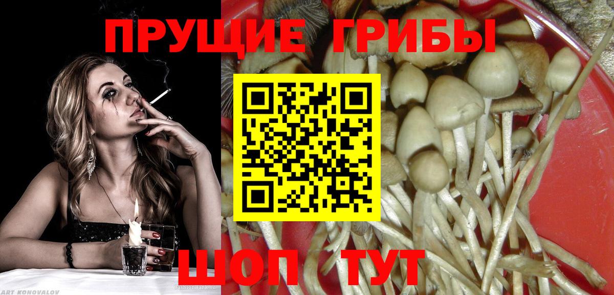 Берёзовский  Галлюциногенные грибы Cubensis  Вход с VPN 