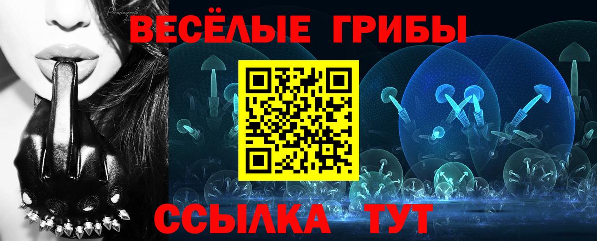 Псилоцибиновые грибы ЛСД Берёзовский